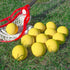 Champro Lacrosse Balls - Premium Quality