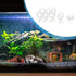 Aquarium Suction Cup, Tube Heater Clip Holder for Fish Tank (Clear, 8Pcs)