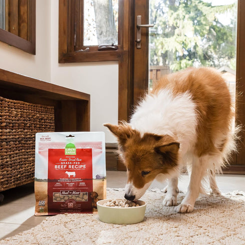 95% 13.5oz Open Farm, Freeze Dried Raw Dog Food, Morsels with Meat, Organs & Bone, Organic Produce & Superfoods