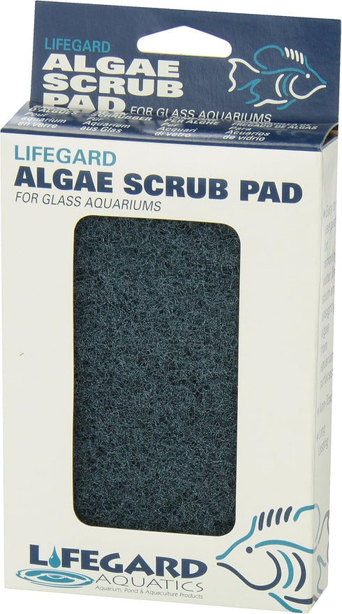 Lifegard Aquatics Blue Algae Pad, 4-Inch by 6-Inch, Black