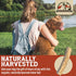 Heartland Elk Antlers for Dogs - Grade A Naturally Shed Antlers | Chew Toy for Aggressive Chewers & Teething Puppies