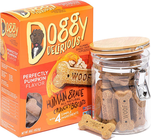 Crunchy Dog Treats for All Sizes and Breeds - All-Natural, 100% Human-Grade Pumpkin Snacks, 16 Oz