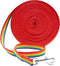 Downtown Pet Supply 20 ft Long Dog Leash, Nylon Dog Training Leash for Recall & Obedience Training, Rainbow