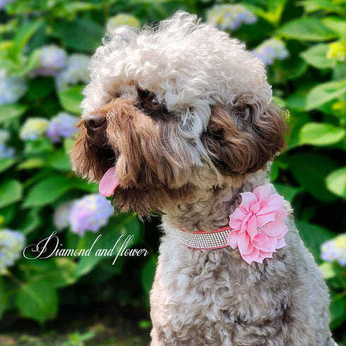 Cute Girl Rhinestone Suede Dog Collar for Small Dogs, Soft Diamond Bling Collars for Medium Dogs (Pink, S)