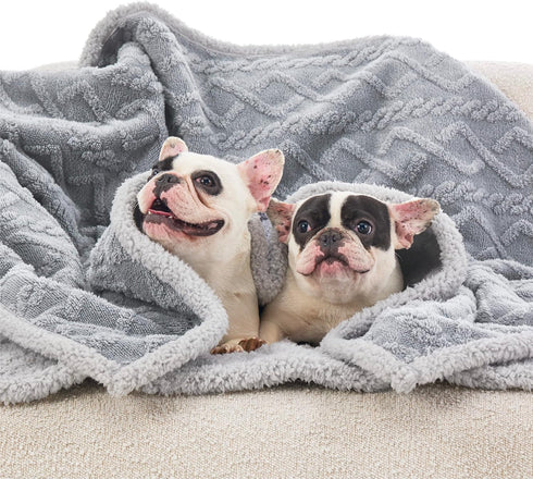Bedsure Waterproof Dog Blankets for Large Dogs, Washable Pet Blanket for Bed Couch Protector, 60x80, Grey.