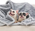 Bedsure Waterproof Dog Blankets for Large Dogs, Washable Pet Blanket for Bed Couch Protector, 60x80, Grey.