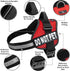 Doggie Stylz Dog Harness with DO NOT PET Patches – No Pull Service Dog Vest, Adjustable, Reflective, Heavy-Duty