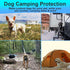Dog Camping Gear (10pk) Blank Dog ID Tags, Emergency Double Sided Dog Tags with Key Ring, Prevent Lost Dogs During Travel or RV Camping, Camping Dog Accessories, Water-Resistant Pet Tag by DaVoice