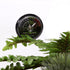 REPTI ZOO Reptile Terrarium Thermometer, Dial Gauges for Pet Rearing Box, Celsius and Fahrenheit