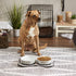 Bone Dry Pet Bowl Collection - Large Ceramic Set, Marble, 2 Count, White