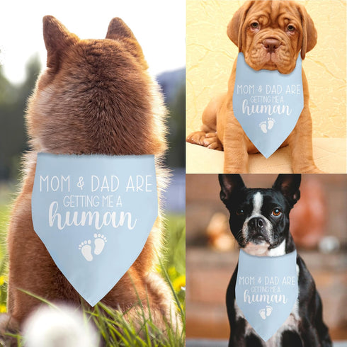 Blue Dog Bandana Baby Announcement Dog Pregnancy Announcement Bandana for Grandparents Pregnancy Gender Reveal Dog