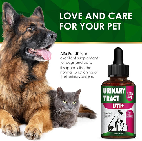 Cat Urinary Tract Infection Treatment with Cranberry, Dog UTI Care for Bladder, 2 Oz Drops for Renal Health