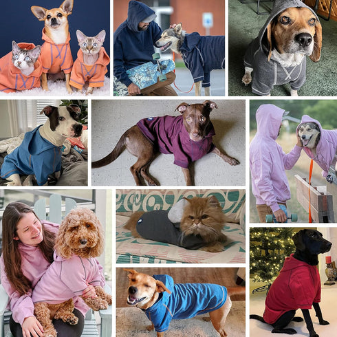 Blueberry Pet Essentials Charcoal Grey Dog Hoodie – 12 inch Cotton-Blend Sweatshirt with Hood, Machine-Washable