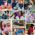 Blueberry Pet Essentials Charcoal Grey Dog Hoodie – 12 inch Cotton-Blend Sweatshirt with Hood, Machine-Washable