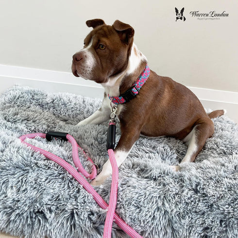Warren London Climbing Rope Dog Leash; 5ft Length with Reflective Options, Ergonomic Grip for Small Medium Large Dogs