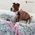 Warren London Climbing Rope Dog Leash; 5ft Length with Reflective Options, Ergonomic Grip for Small Medium Large Dogs