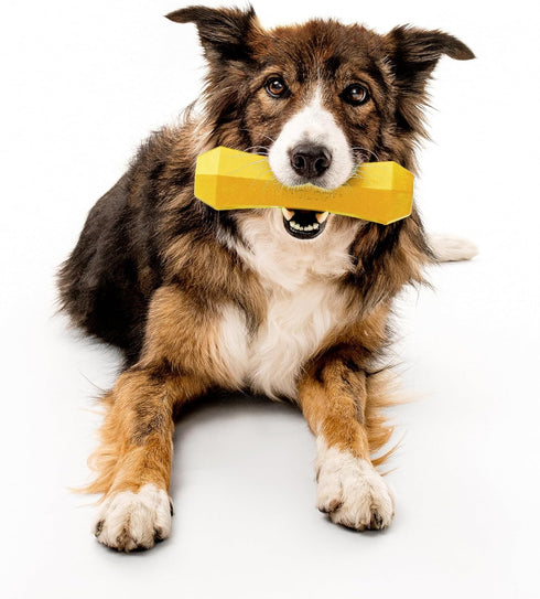 Playology Squeaky Dog Toy Fetch Stick | Durable Rubber, Chicken Scented, Large Dogs, Non-Toxic, Floating Toy