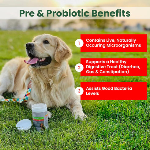 PawMedica Probiotics for Dogs - Digestive Enzymes, Prebiotics & Chews, Made in USA, 60 Dog Probiotic Chews