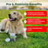 PawMedica Probiotics for Dogs - Digestive Enzymes, Prebiotics & Chews, Made in USA, 60 Dog Probiotic Chews