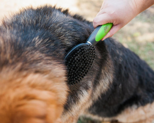 Pet Magasin Professional Grooming Brushes (Pack of 3) - Double Sided Brush, Long Tooth Rake & De-Matting Comb