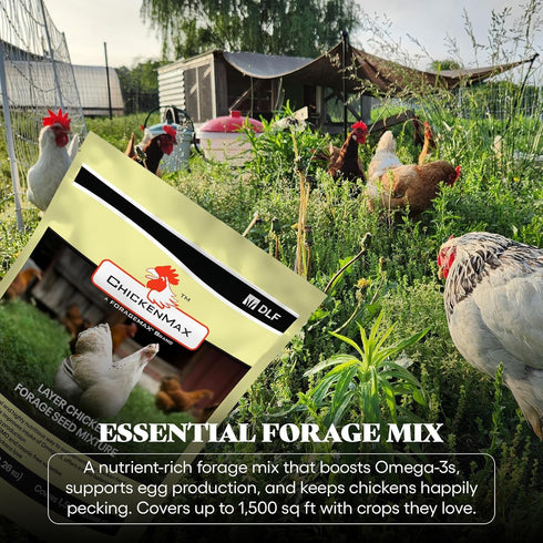 5LB DLF Chicken Max Forage Seed Mixture for Chickens, Poultry, and Farms Layer Mix with Clover, Ryegrass, Buckwheat
