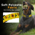 Dog Collar - Sunflower Floral for Boys Girls, Adjustable Soft Sunflower Pet Collar with Safety Buckle for Small Medium