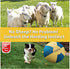 KipSip 18 Herding Ball for Dogs Dog Training Ball with Handles for Medium & Large Breeds Non-Chew Interactive Toy