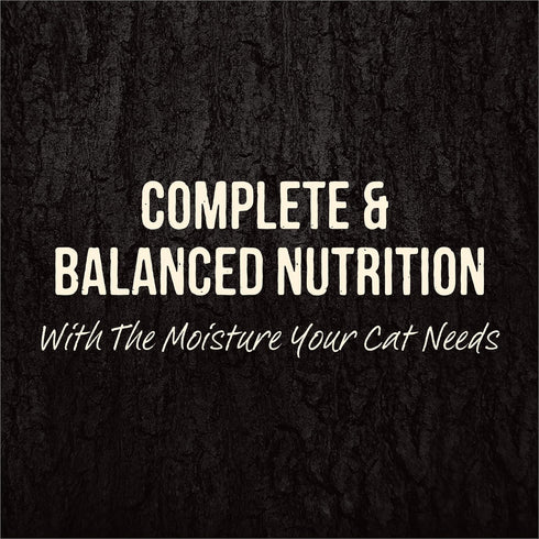 Merrick Backcountry Grain Free Gluten Free Premium High Protein Wet Cat Food, Whitefish Recipe Cuts with Gravy (Pack of