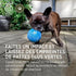 2-in-1 Hevea Planet Ball Dog Activition & Fetch Toy - Natural Rubber Throw Toy - Tested and Safe Dog Treat Ball