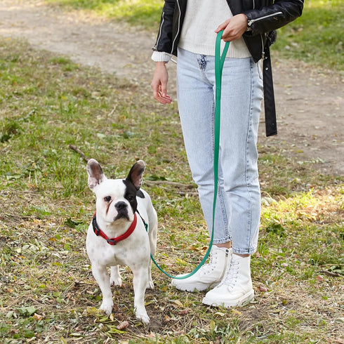 Dogline Waterproof Dog Leash, Strong Biothane Coated Nylon Webbing with Black Hardware, Easy to Clean, Made in USA