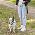 Dogline Waterproof Dog Leash, Strong Biothane Coated Nylon Webbing with Black Hardware, Easy to Clean, Made in USA
