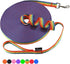 Hi Kiss Dog/Puppy Obedience Recall Training Agility Lead, 15ft 20ft 30ft 50ft 100ft Training Leash (30 Feet, Rainbow)