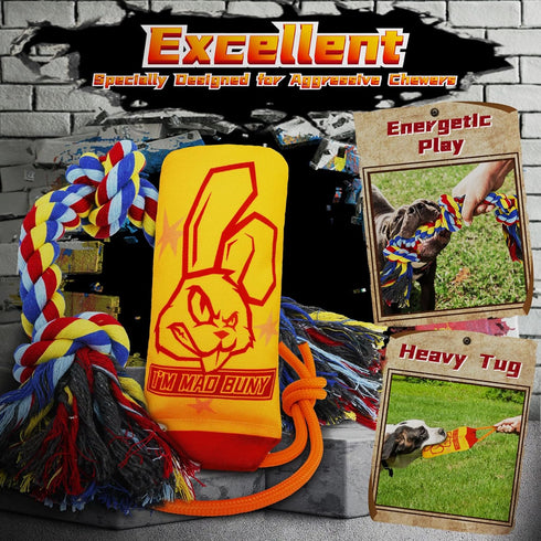 Heavy Duty Various Dog Chew Toys for Aggressive Chewers, 9 Pack Indestructible Toys for Medium Large Breed Dogs