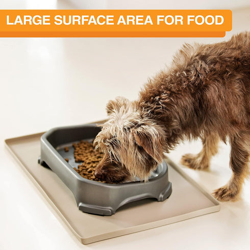 Neater Pet Brands Big Bowl - Extra Large Bowl for Cats or Small Dogs - Large Surface Area (8 Cups Capacity, Gunmetal Grey)