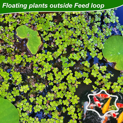 5pcs Aquarium Floating Plant Rings, Foam Flower Shaped Fish Feeding Rings, Duckweed Food Ring for Fish Tank (White)
