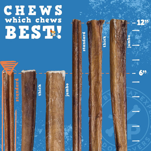 Jack&Pup 6" Bully Sticks 12 Pack for Dogs | Premium Odor Free Beef Pizzle Sticks for Large Dogs | All Natural