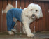 Best Dog Walking Pants for XL Extra-Large Dogs