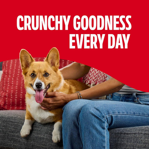 2.5 Oz. (Pack 20) Milk-Bone Flavor Snacks Minis Dog Biscuits, Flavored Crunchy Dog Treats, Bags