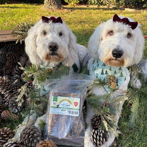(7" 16 OZ) Dog Chews Beef Trachea Dog Treat Chew Made in USA. Grass Fed Farm-Raised American Beef. Glucosamine Rich
