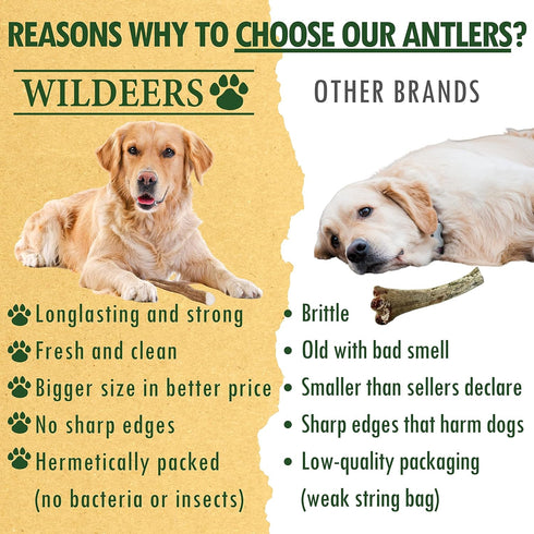 Wildeers Elk Antlers for Dogs - Medium, 3-Pack, Naturally Shed, Grade A, 5-7 inch, Long Lasting Chews for Aggressive