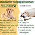 Wildeers Elk Antlers for Dogs - Medium, 3-Pack, Naturally Shed, Grade A, 5-7 inch, Long Lasting Chews for Aggressive