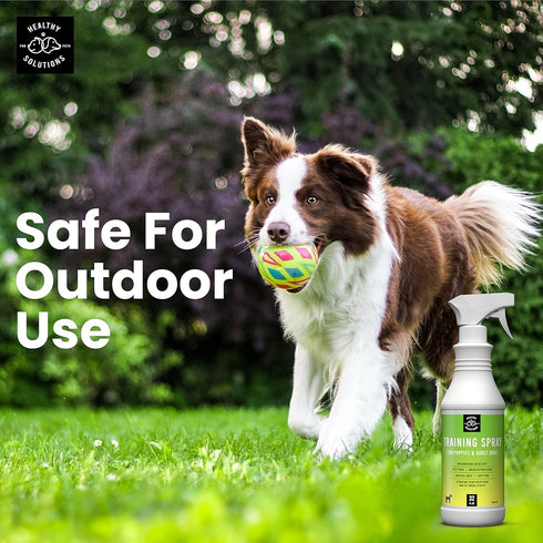 Potty Training Spray for Dogs - Dog Pee Spray with Marking Scent for Indoor & Outdoor Use - Made in USA, 32 Oz
