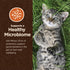 Wellness CORE Digestive Health Probiotic Coated High Protein Dry Cat Food, Salmon & Rice Recipe, 5 Pound Bag