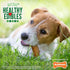 Nylabone Healthy Edibles Natural Dog Chews, Long Lasting Roast Beef & Chicken Flavor Treats for Small/Regular Dogs (12