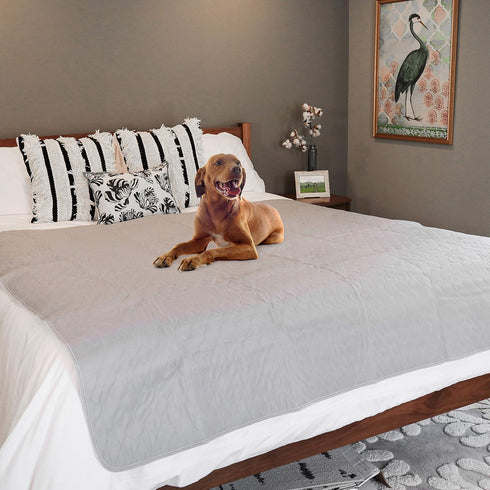 72" 72" (Pack 1) rocket & rex Premium XXL Non-Slip Washable Pee Pad for Dogs, Waterproof & Reusable Puppy Pad for Potty