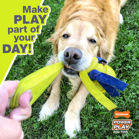 Nylabone Power Play Tennis Teddy Gripz Bear Dog Toy, Medium (1 Count)