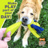 Nylabone Power Play Tennis Teddy Gripz Bear Dog Toy, Medium (1 Count)