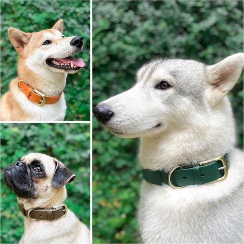 Tuff Pupper Classic Heavy Duty Dog Collar, 10x Stronger Than Leather, Waterproof & Odor Proof, Small (12-15" Neck)