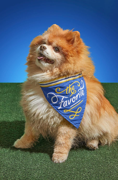Brass Monkey The Favorite Dog Bandana; Durable Cotton Pet Bandana; One Size Fits Most; 9” W x 6” H; 30” Tie Ribbon; Cute Dog Accessories with Eye-Catching Design
