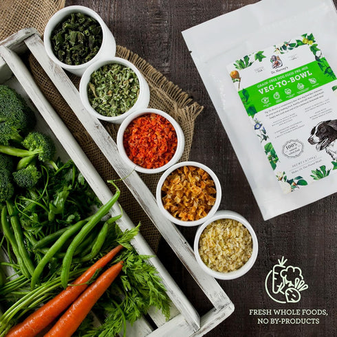 Dr. Harvey's Veg-to-Bowl Dog Food, Human Grade Dehydrated Base Mix, Grain Free Holistic Mix (3 Pound)